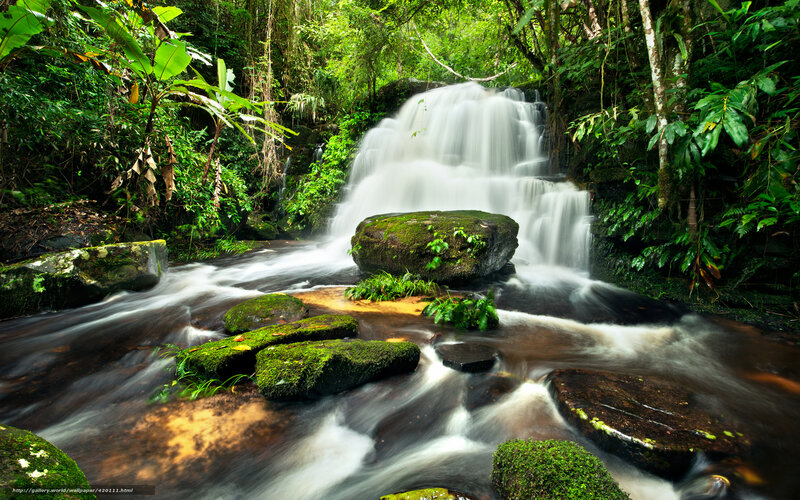 Waterfall in lush rainforest