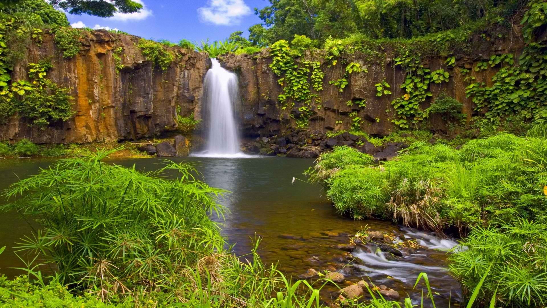 Waterfall in lush tropical forest