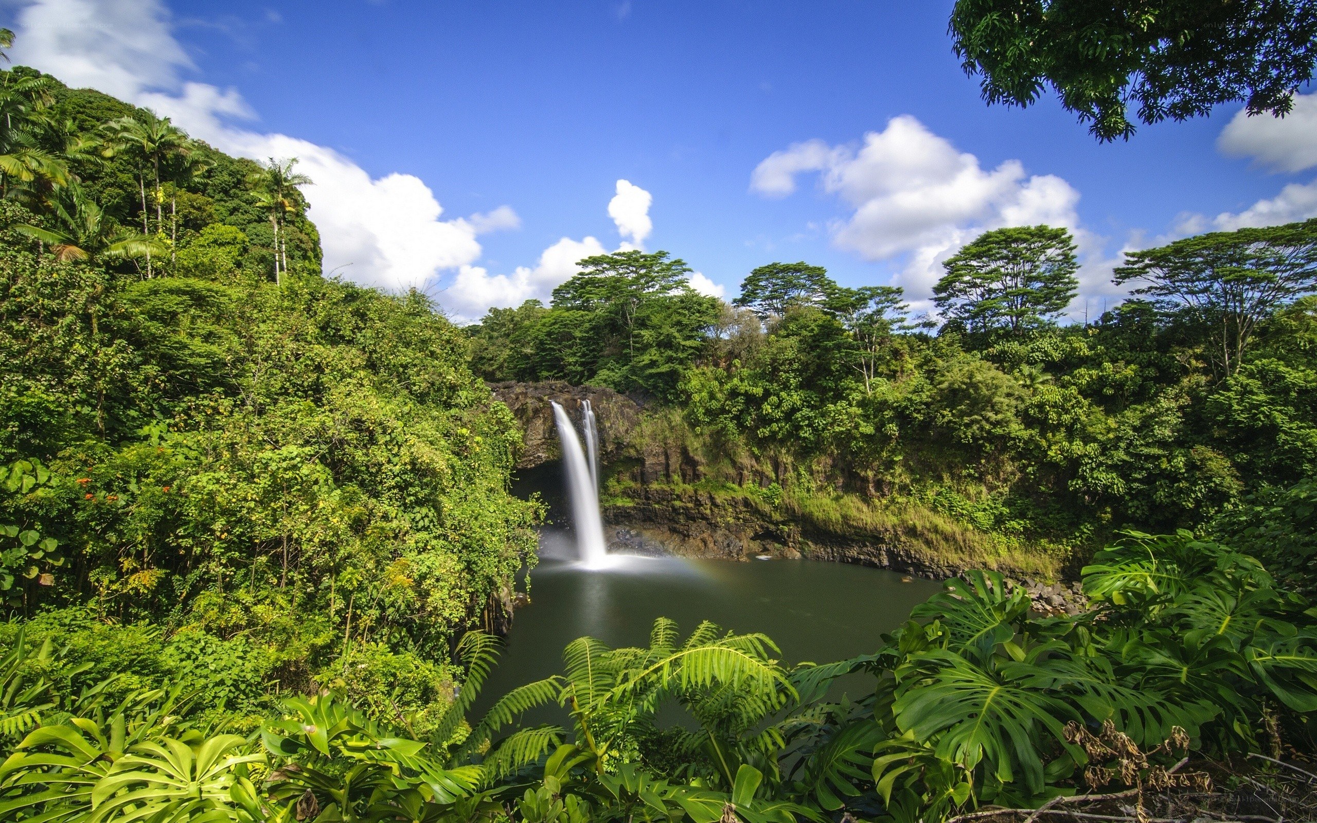Waterfall in lush tropical forest