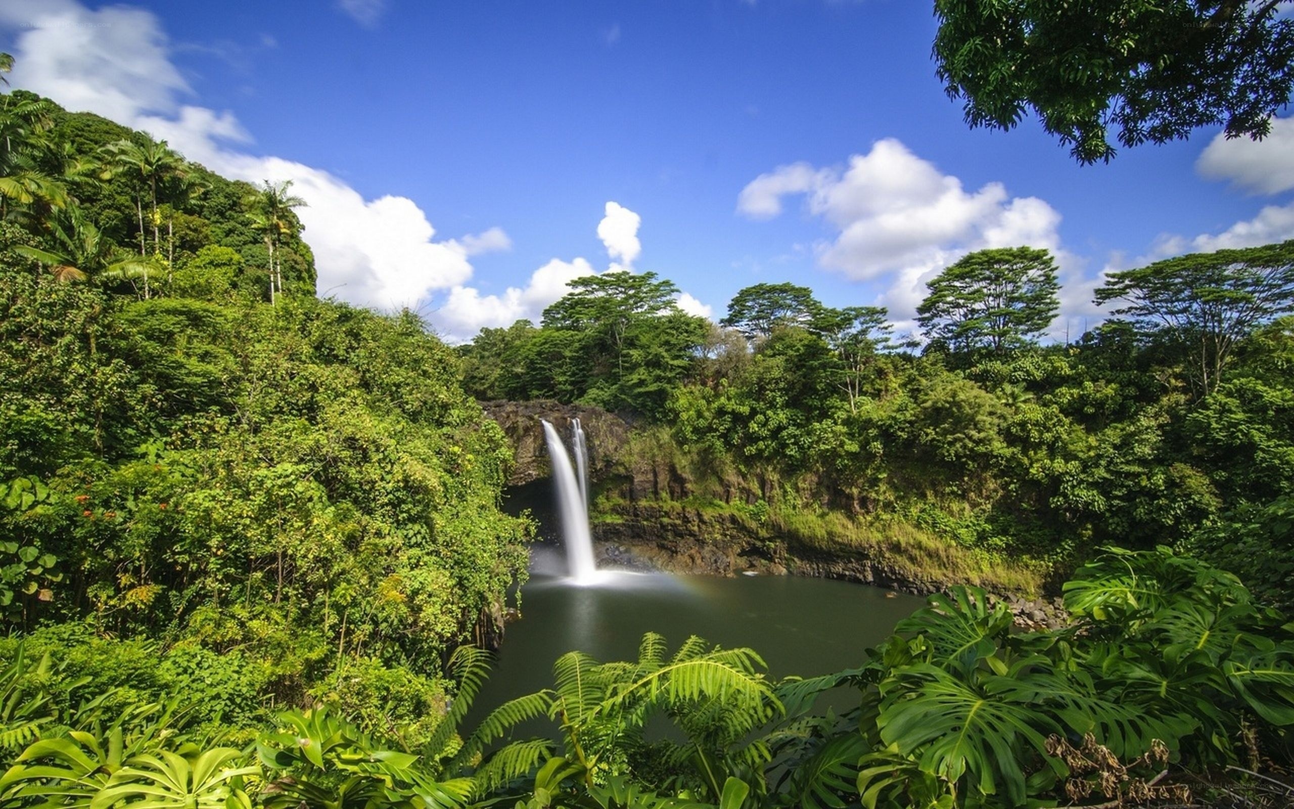 Waterfall in lush tropical forest