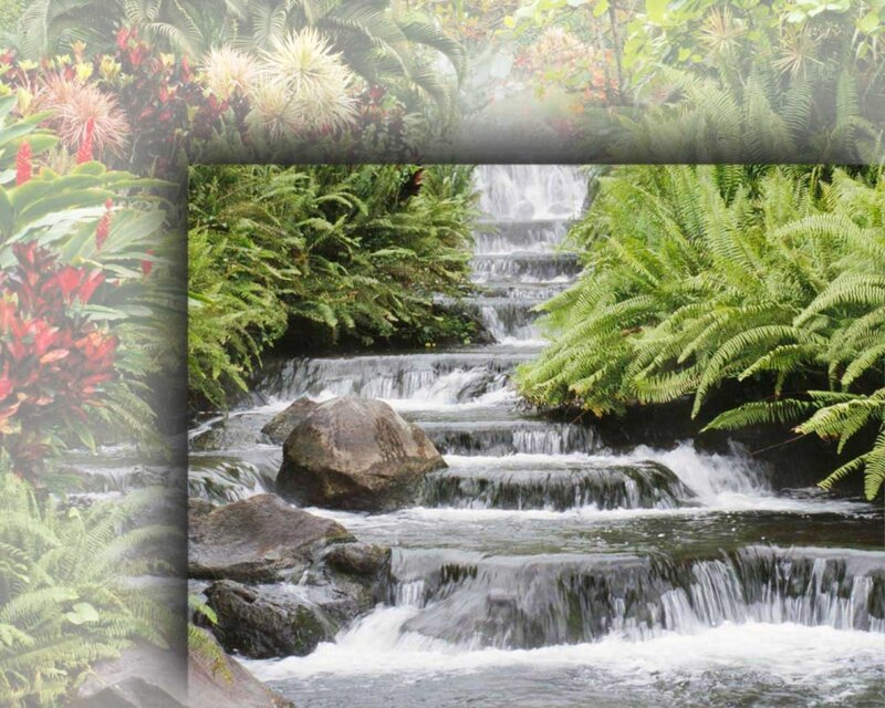 Waterfall in lush tropical garden