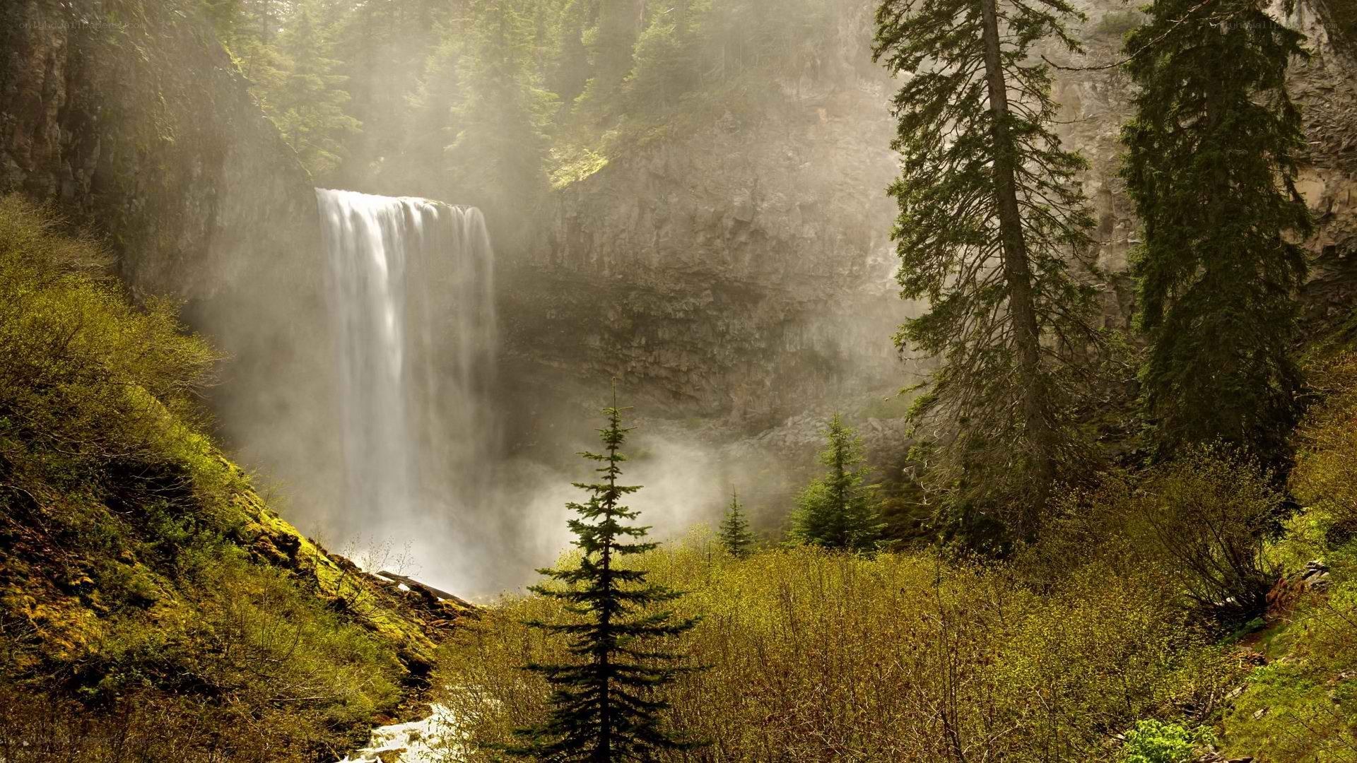 Waterfall in misty forest