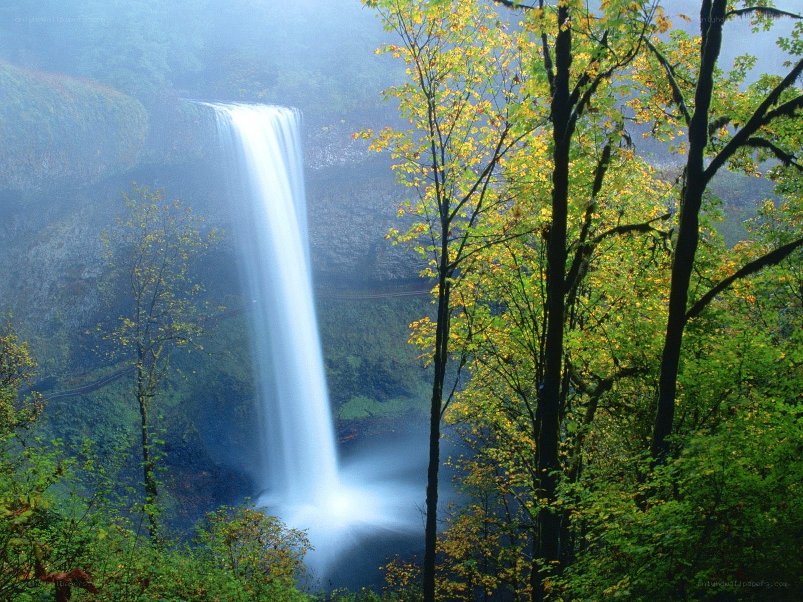 Waterfall in misty forest
