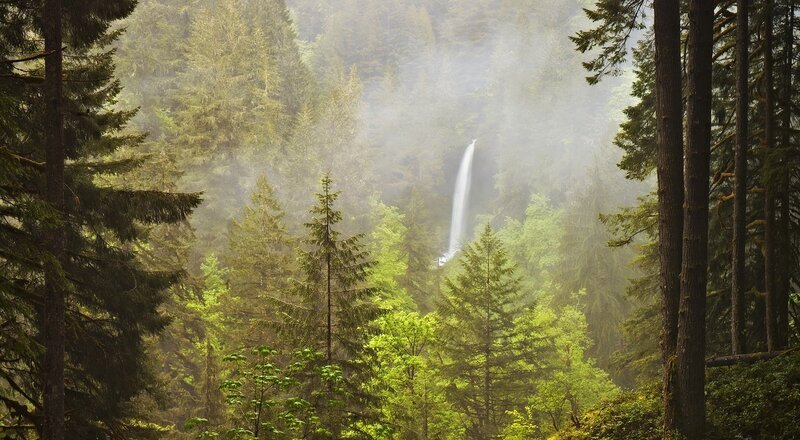 Waterfall in misty forest