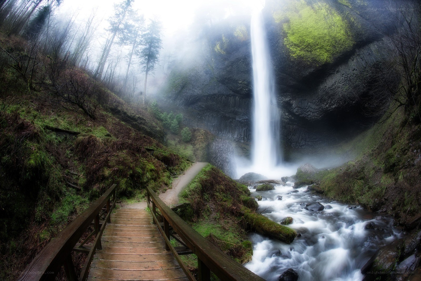 Waterfall in misty forest