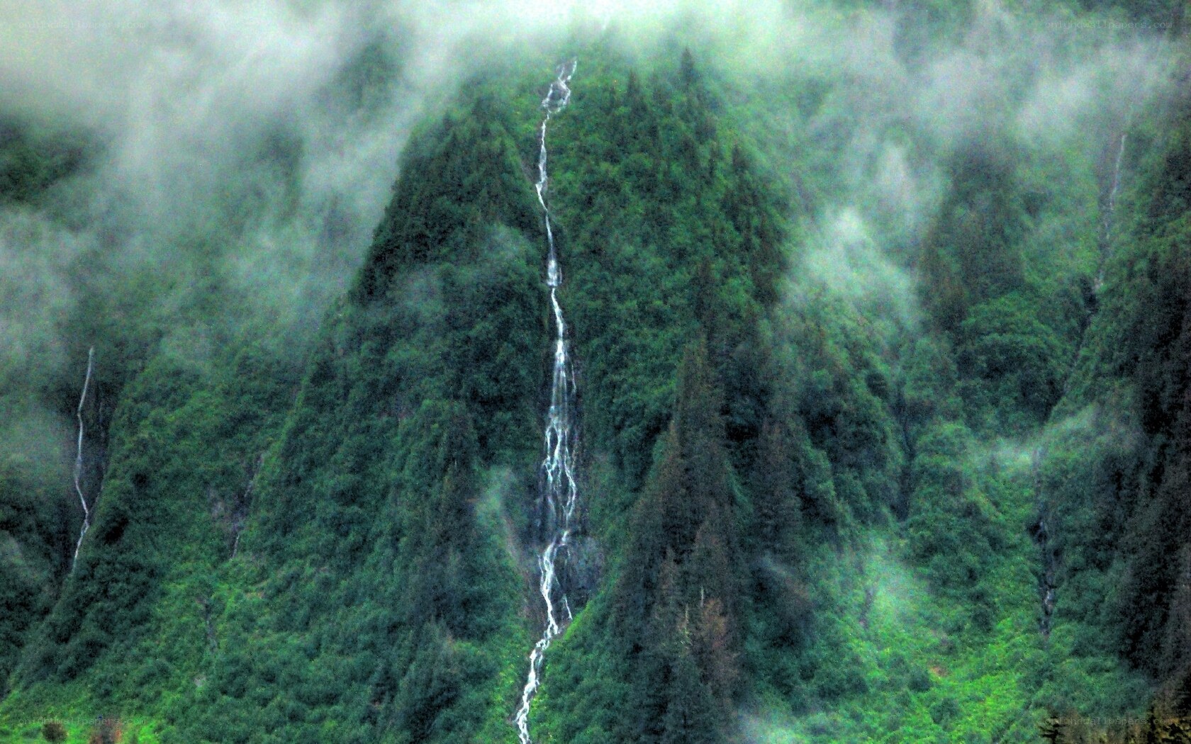 Waterfall in misty forest