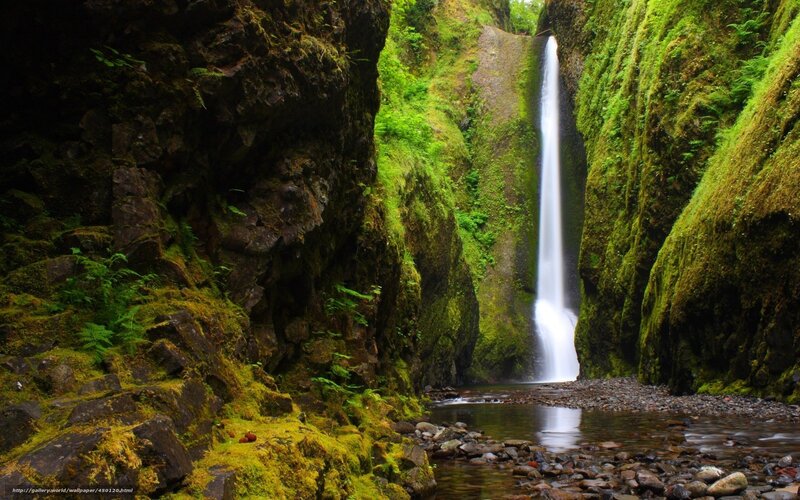 Waterfall in Mossy Canyon — Green, Serene, Afternoon