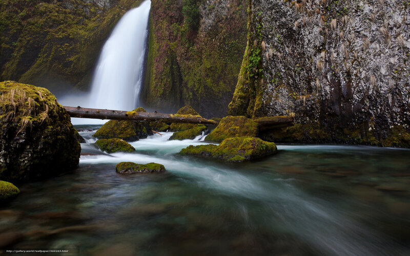 Waterfall in Mossy Canyon — Green, Serene, Photograph, Moss-covered Rocks