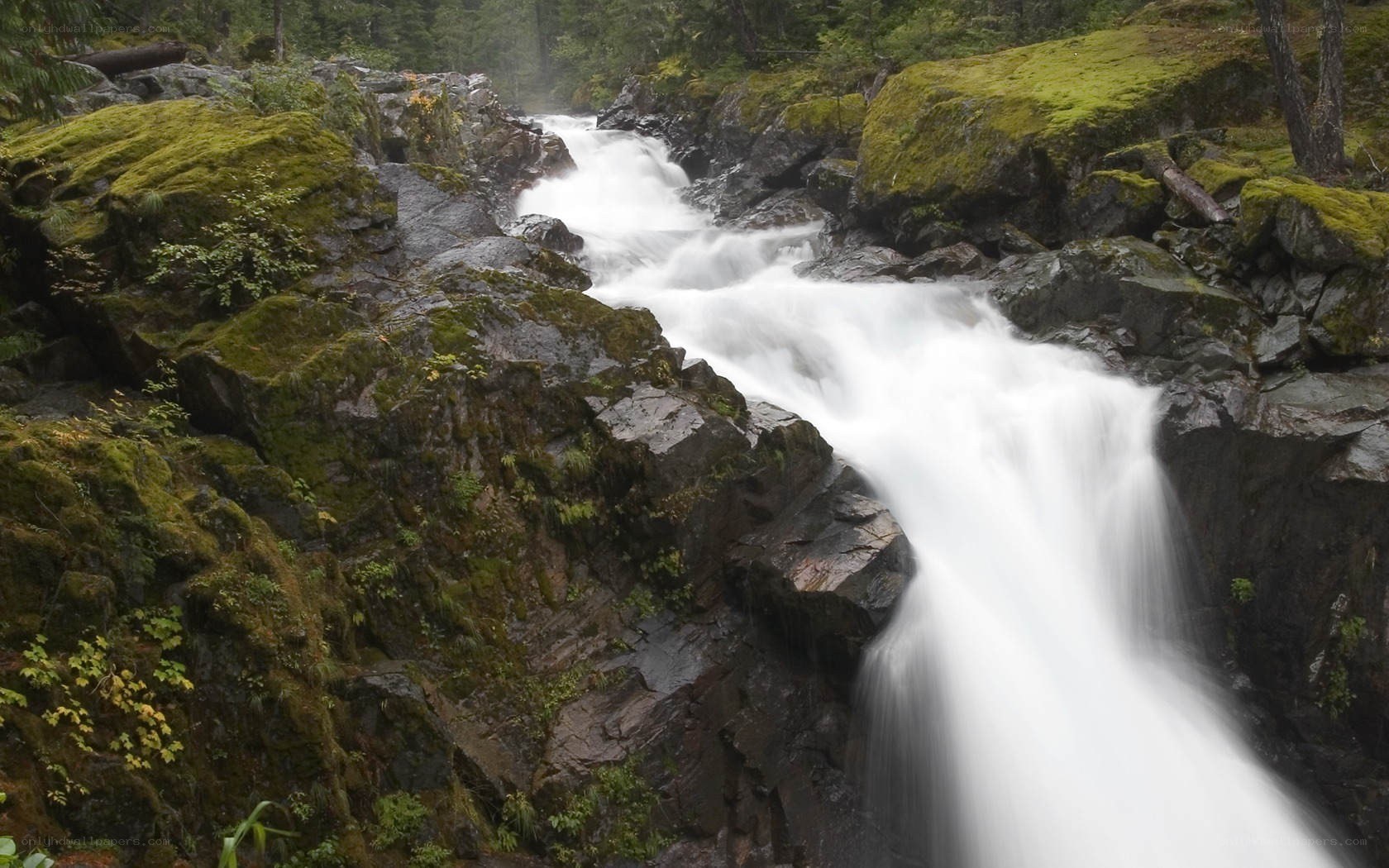 Waterfall in mossy forest