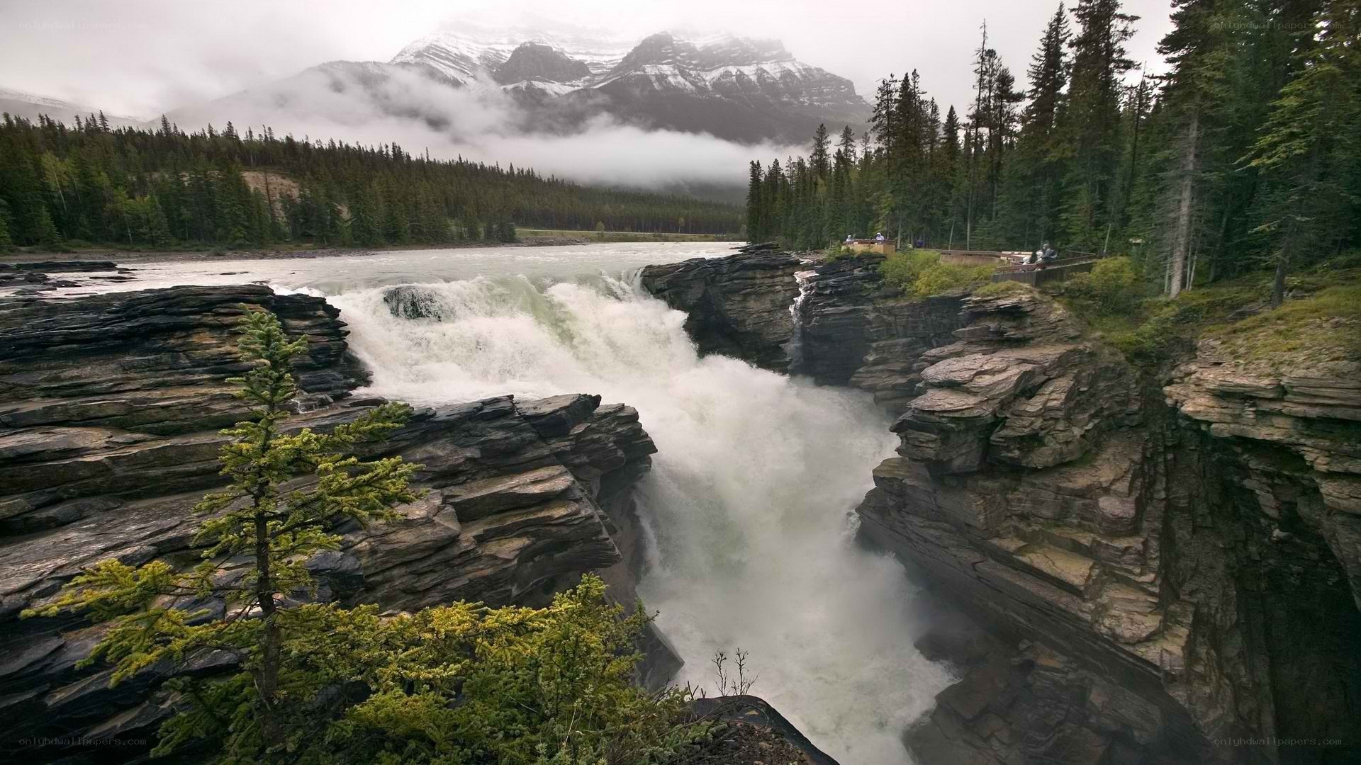 Waterfall in mountain canyon