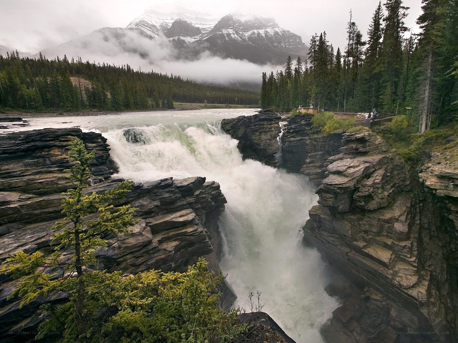 Waterfall in mountain canyon
