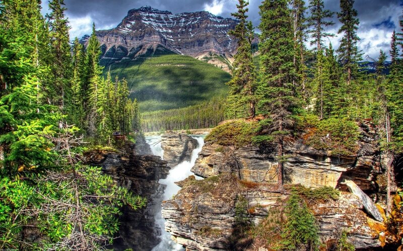 Waterfall in mountain forest