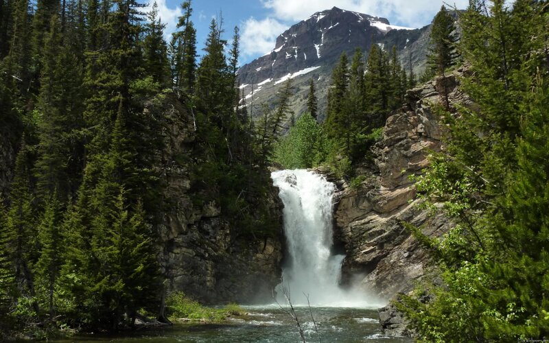 Waterfall in Mountain Forest — Green, Serene