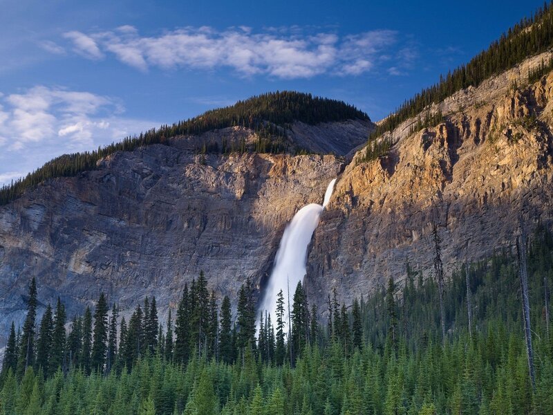 Waterfall in mountain forest