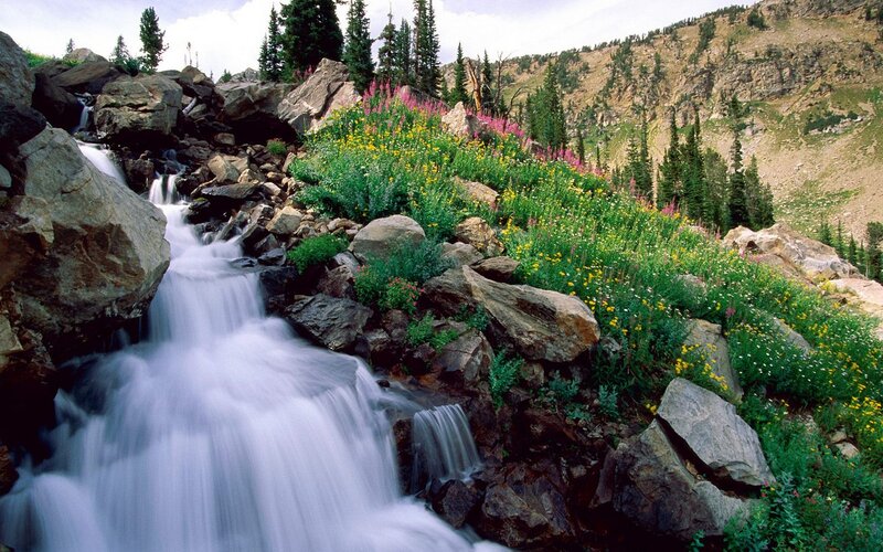 Waterfall in mountain meadow
