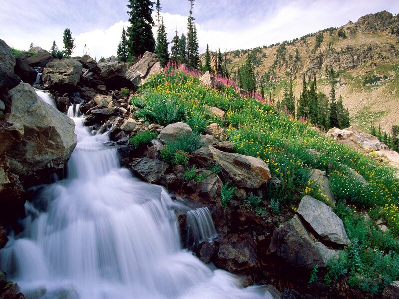 Waterfall in mountain meadow