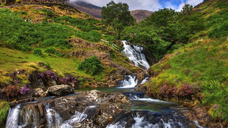 Waterfall in Mountain Valley — Green, Serene, Afternoon, Photograph, River, Trees