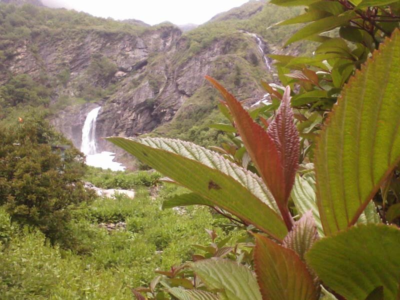 Waterfall in Mountain Valley — Green, Serene, Photograph