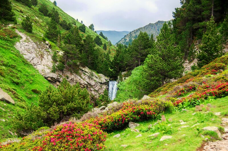 Waterfall in Mountain Valley — Green, Serene, Spring, Photograph, Trees