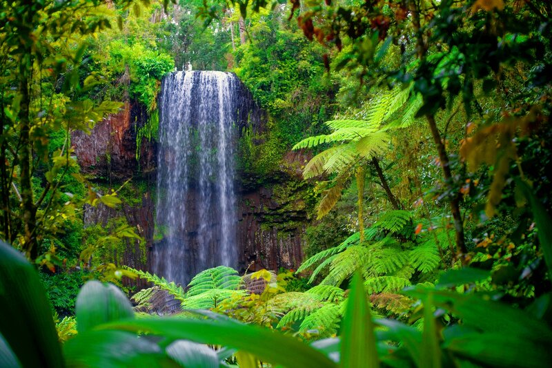 Waterfall in Rainforest — Green, Lush, Afternoon