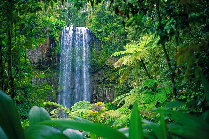 Waterfall in Rainforest — Green, Lush