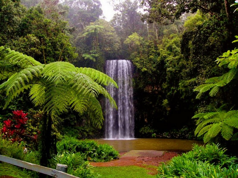 Waterfall in Rainforest — Green, Serene, Morning, Photograph, Fern