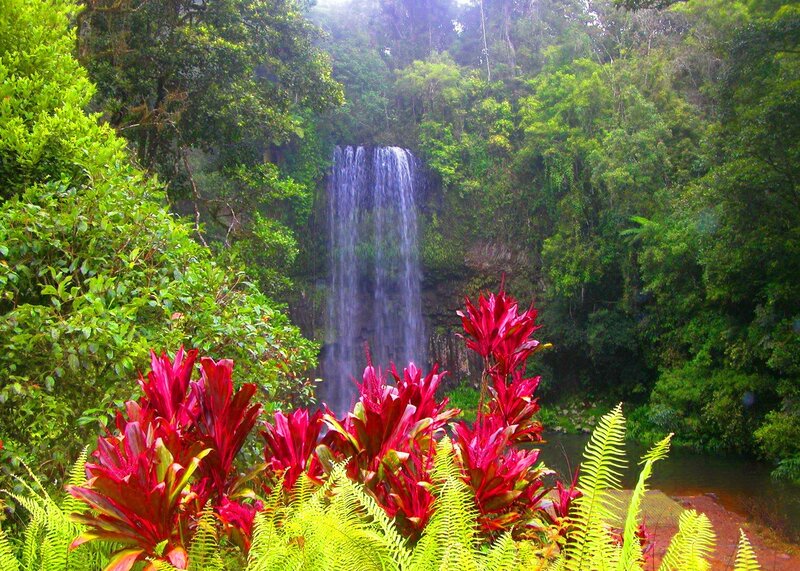 Waterfall in Rainforest — Green, Serene, Morning, Photograph, Plants