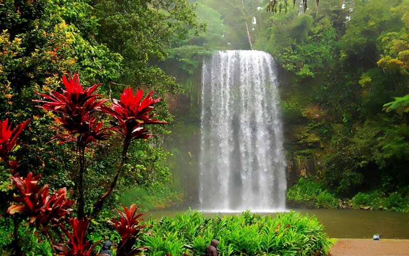 Waterfall in Rainforest — Green, Serene, Photograph, Plants