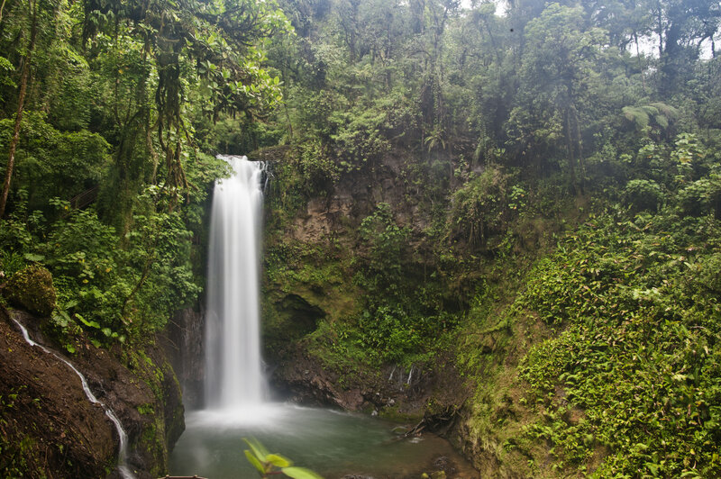 Waterfall in Rainforest — Green, Serene, Photograph, Trees, Pool