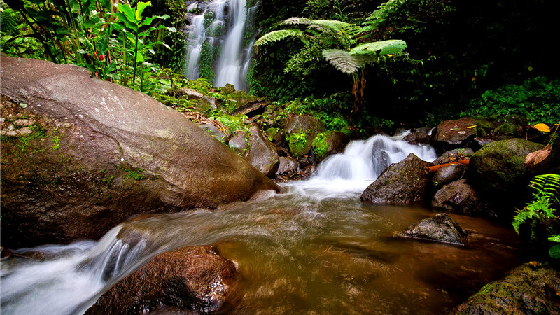 Waterfall in Rainforest — Green
