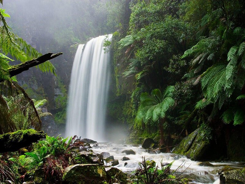 Waterfall in Rainforest