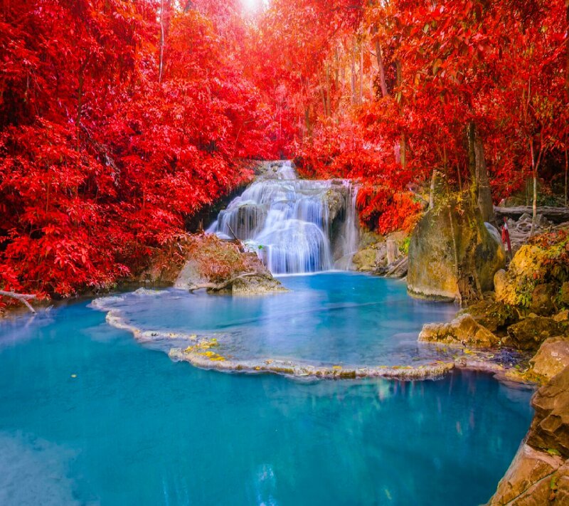 Waterfall in Red Forest — Serene, Autumn, Photograph