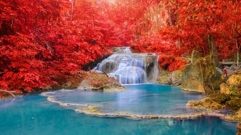 Waterfall in Red Forest — Serene, Autumn