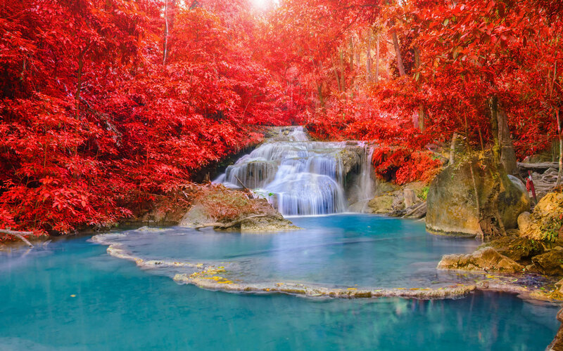 Waterfall in Red Forest — Serene