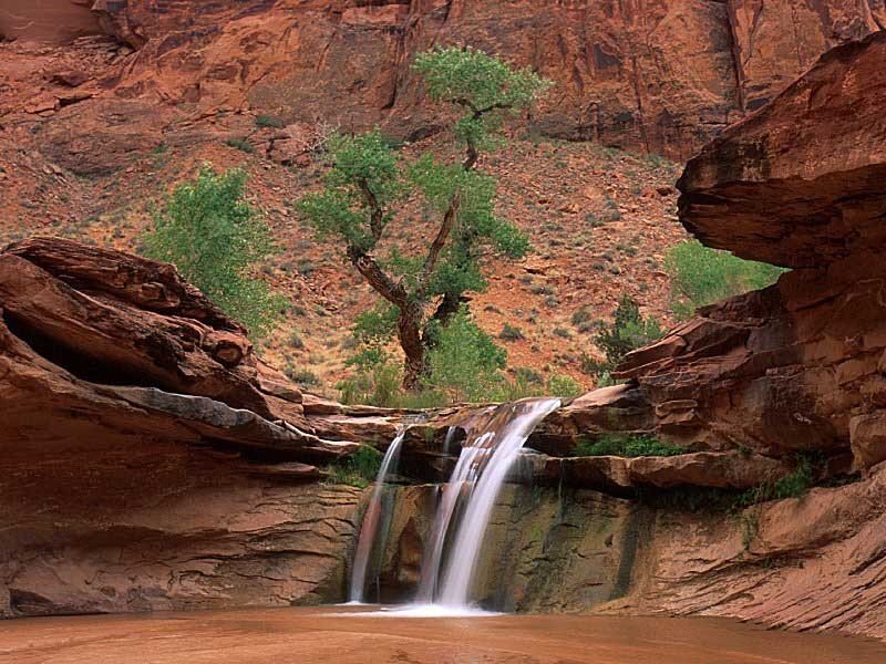 Waterfall in red rock canyon