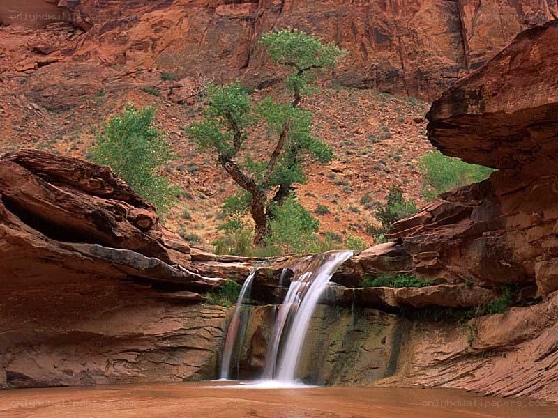 Waterfall in red rock canyon