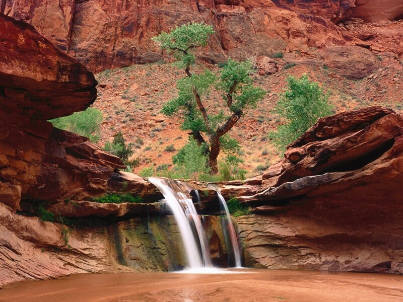 Waterfall in red rock canyon
