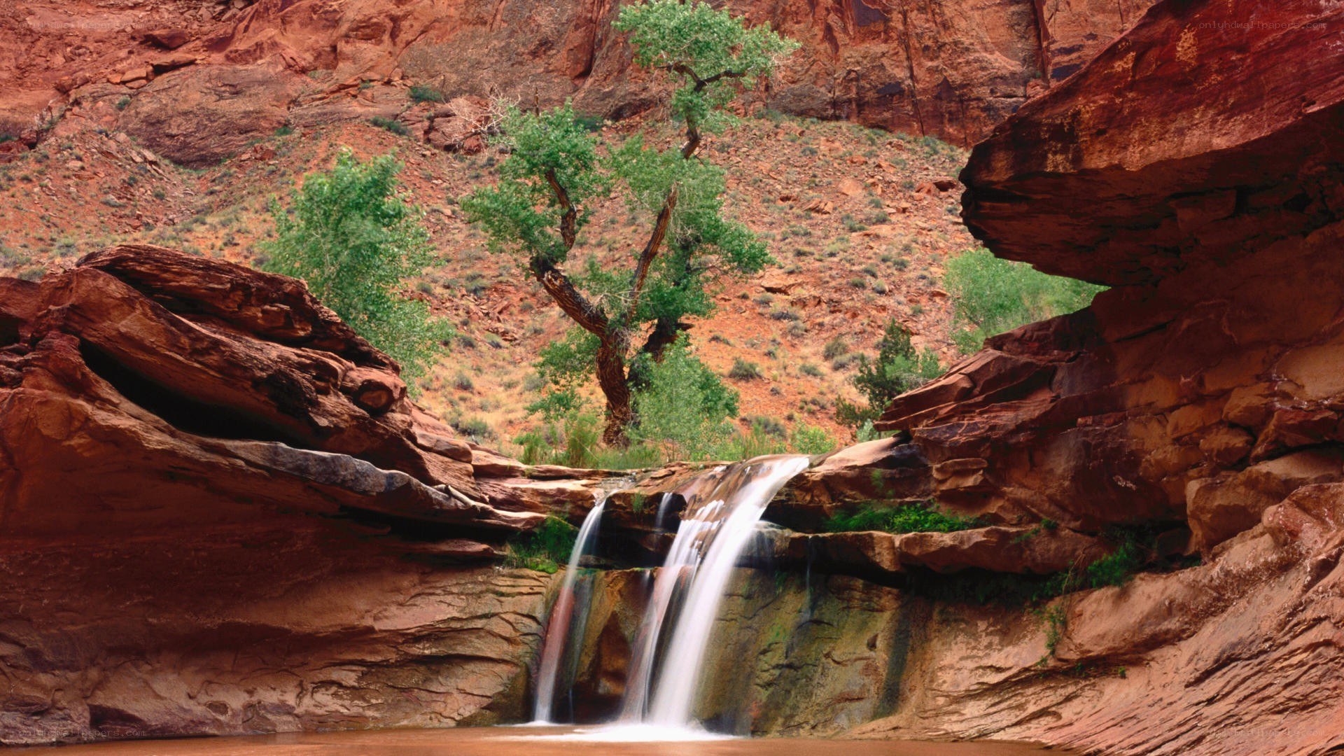 Waterfall in red rock canyon