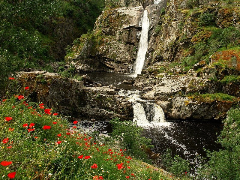 Waterfall in Rocky Canyon — Green, Serene, Summer, Photograph