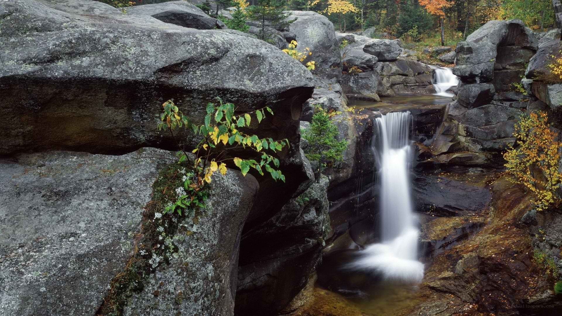 Waterfall in rocky forest