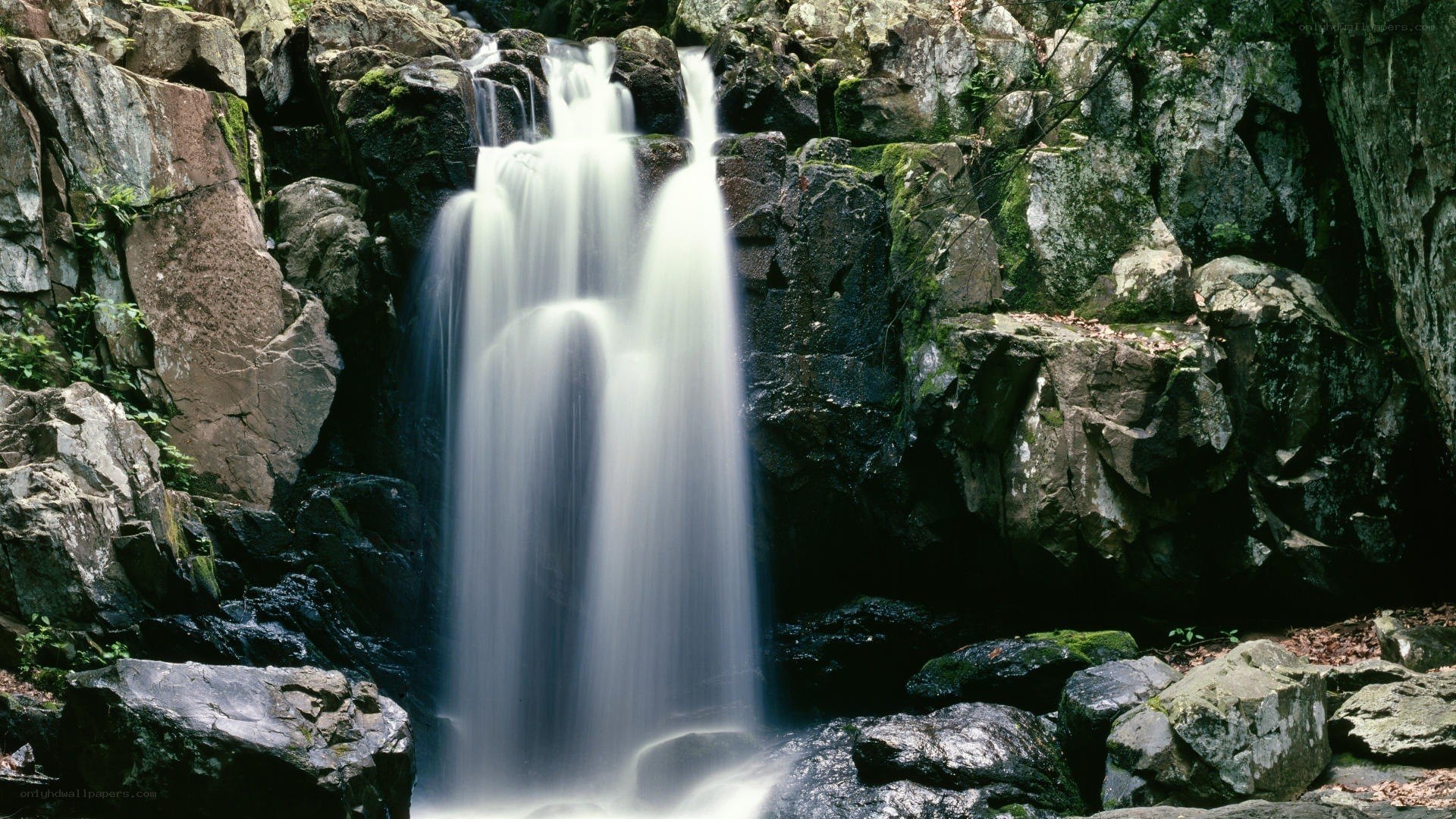 Waterfall in rocky forest