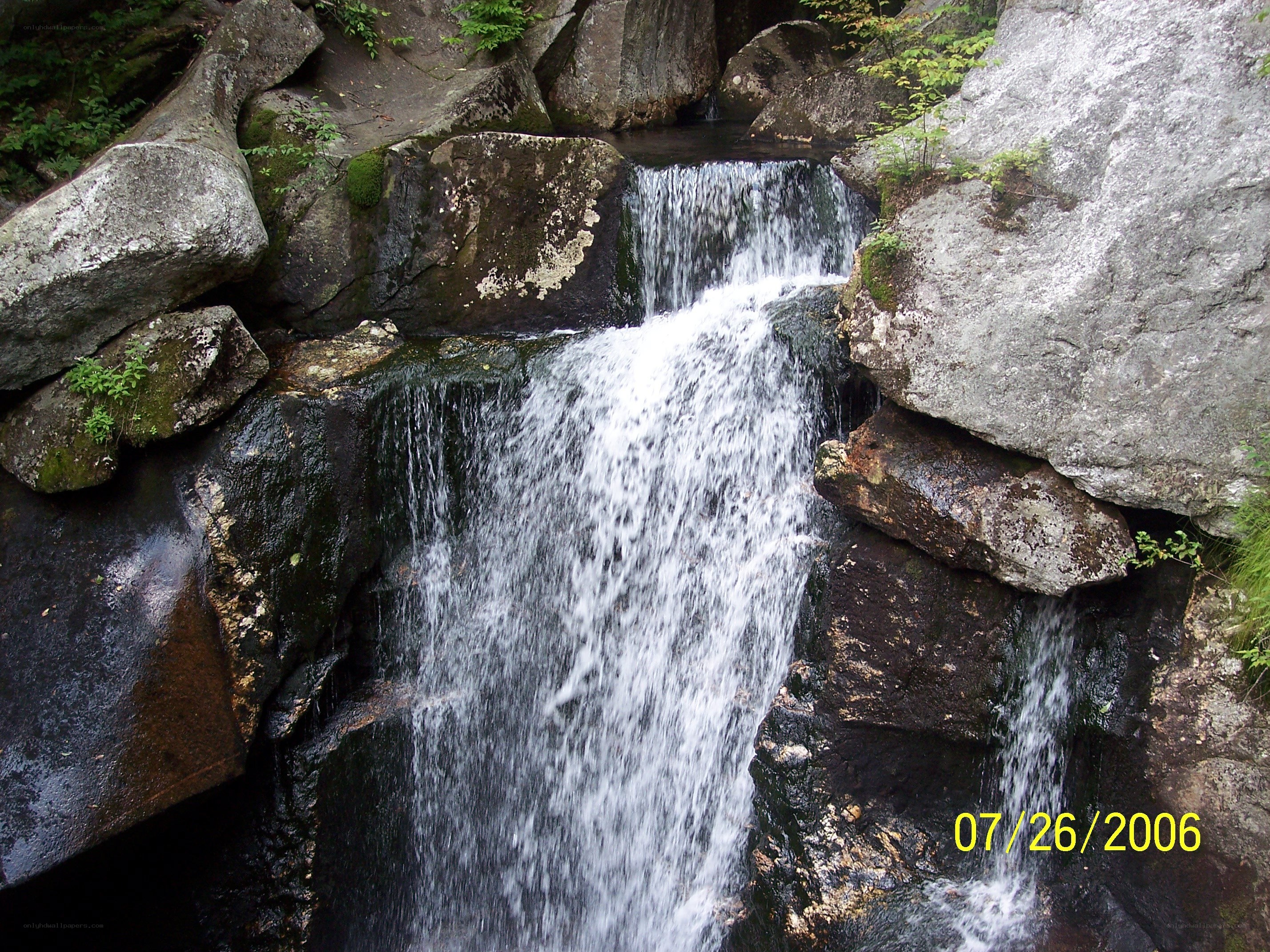Waterfall in rocky forest