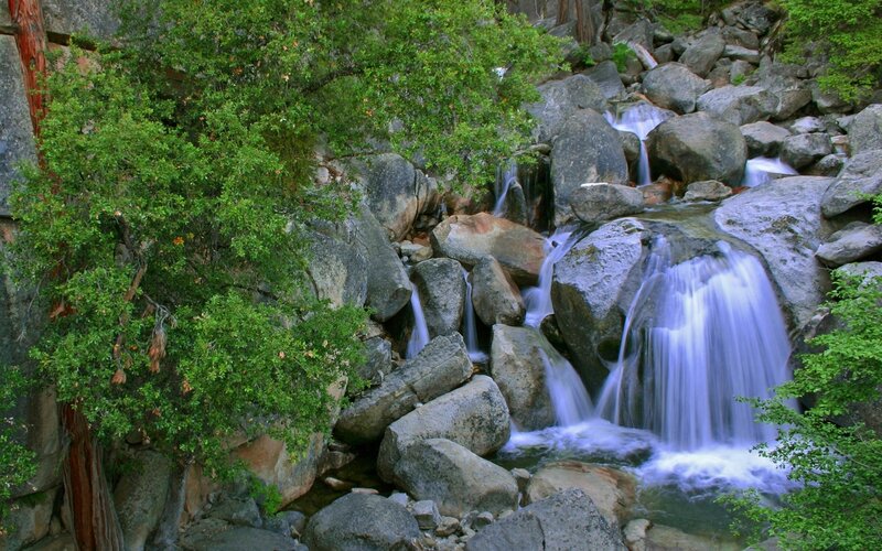 Waterfall in Rocky Forest — Green