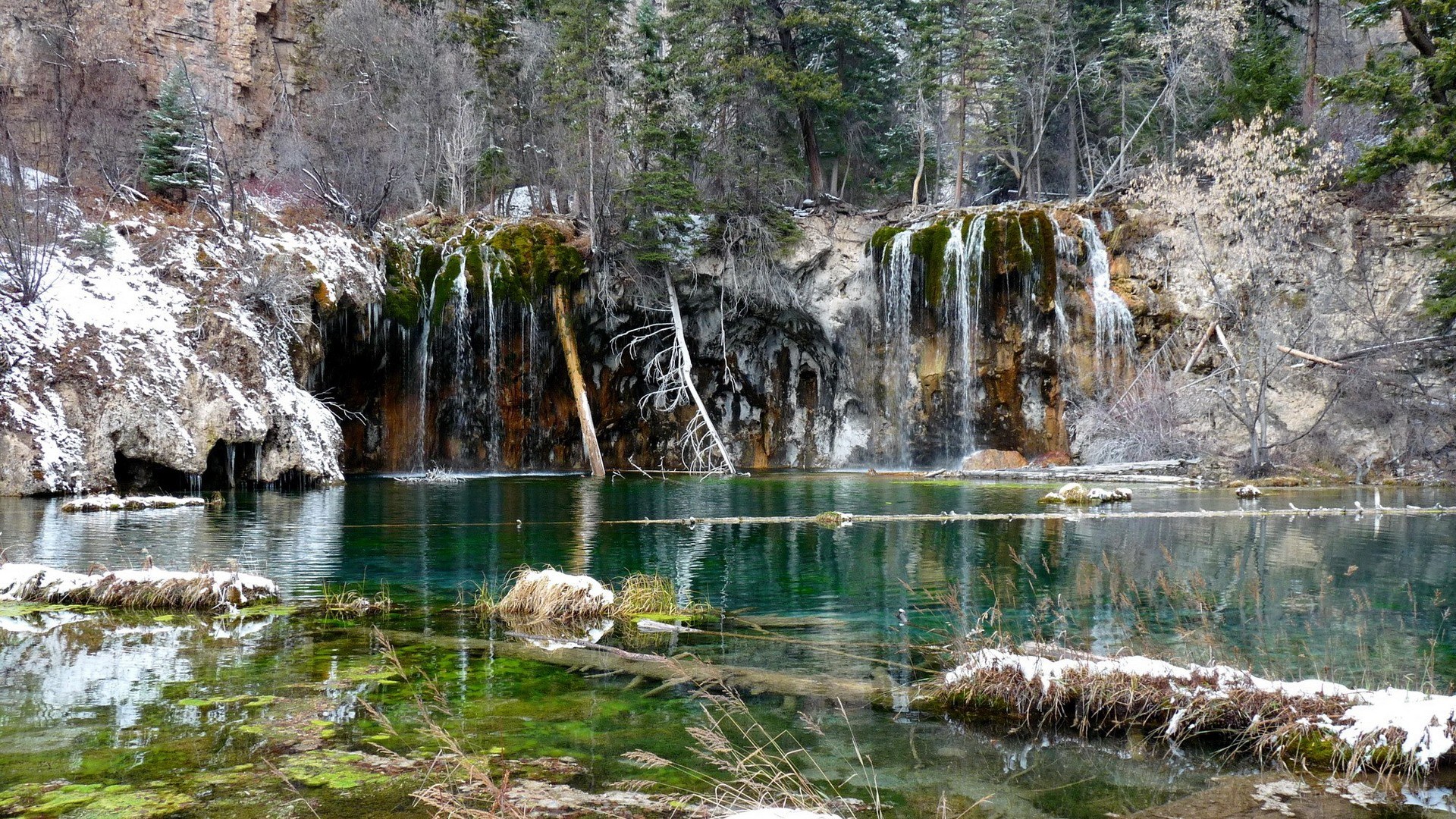 Waterfall in snowy forest