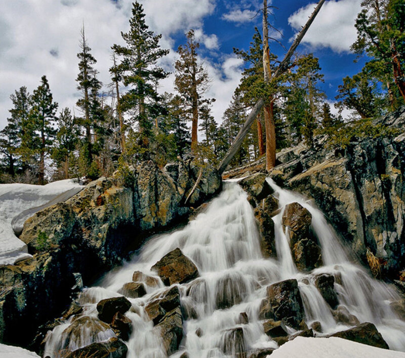 Waterfall in snowy forest