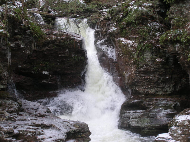 Waterfall in snowy forest