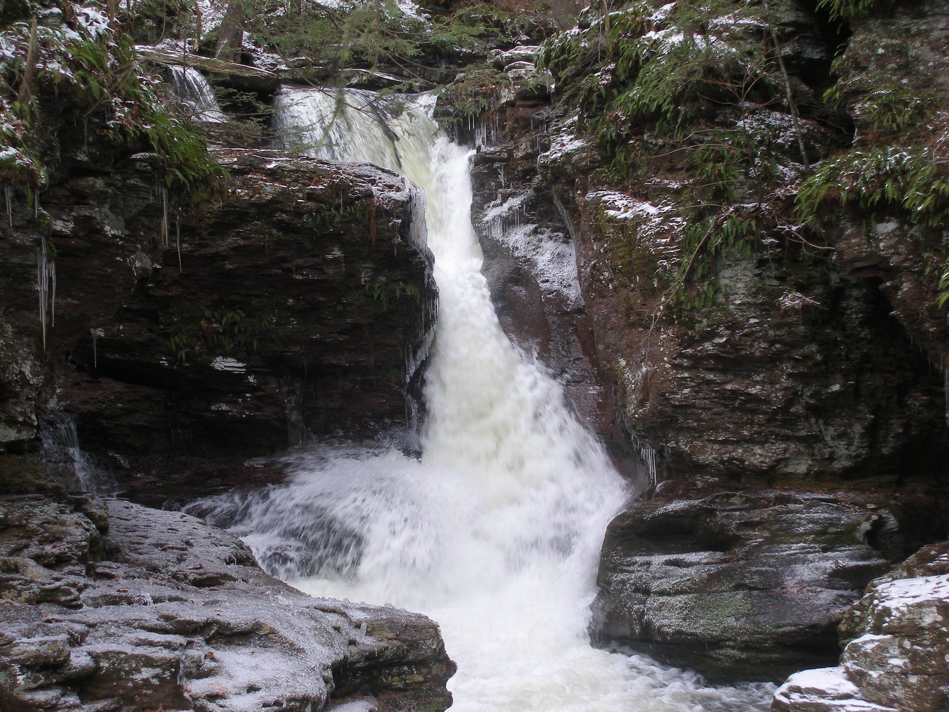 Waterfall in snowy forest