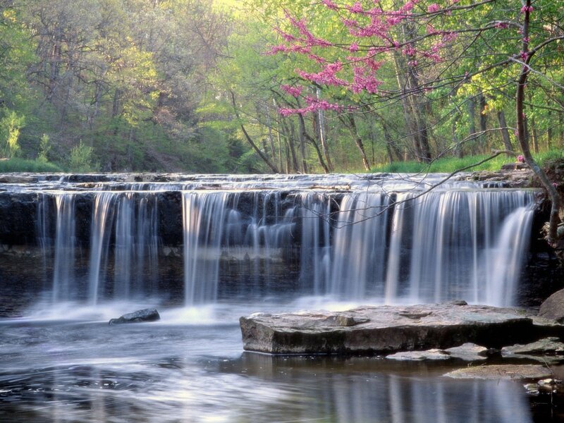 Waterfall in spring forest