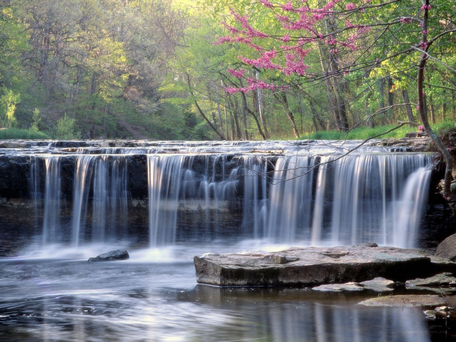 Waterfall in spring forest