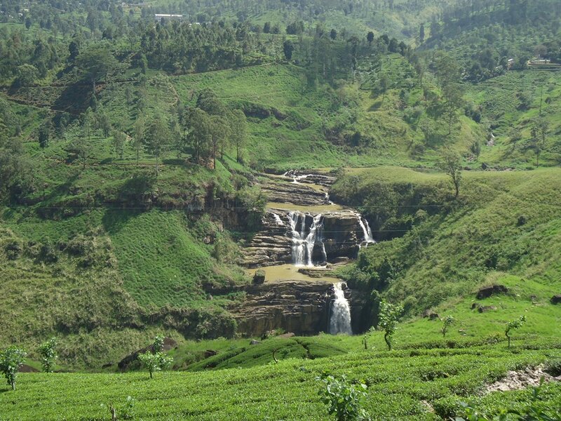 Waterfall in Tea Fields